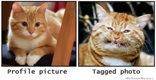 profile-pic-vs-tagged-pic